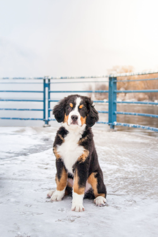 20170205-Guinness-4mos-Colour-4763 (1)