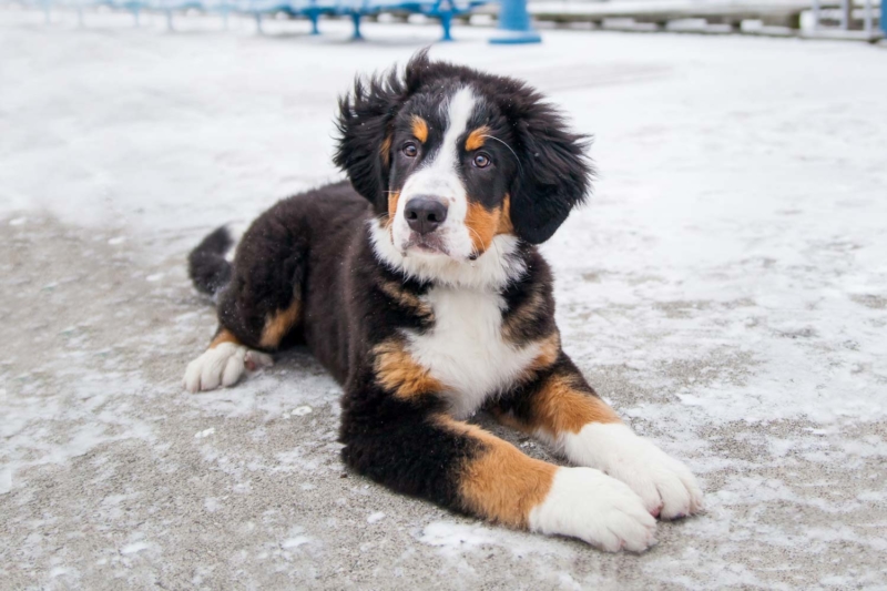 20170205-Guinness-4mos-Colour-4833