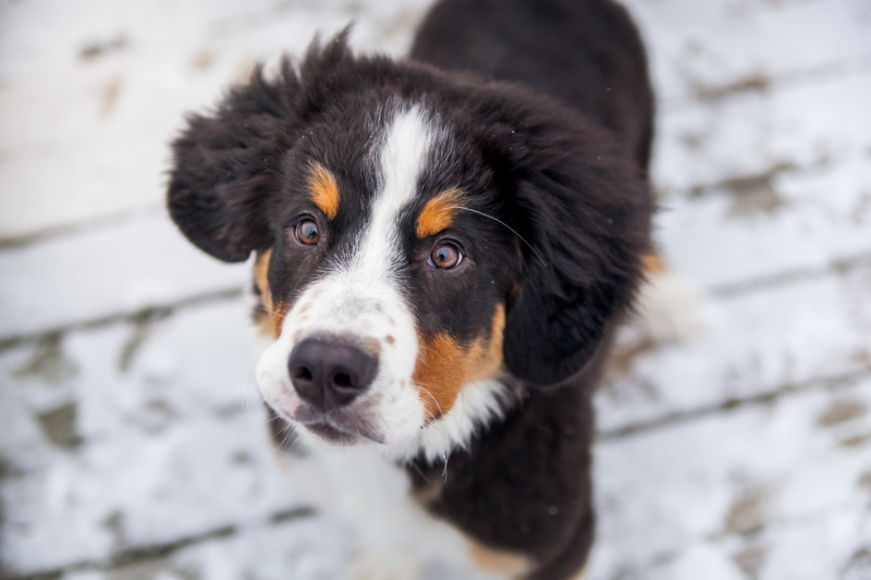 20170205-Guinness-4mos-Colour-4860