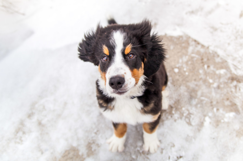 20170205-Guinness-4mos-Colour-5090