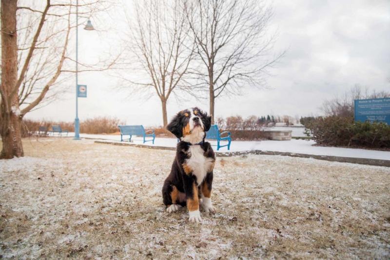 20170205-Guinness-4mos-Colour-5178